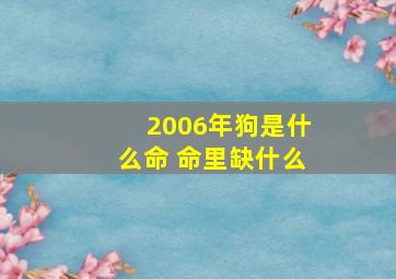 2006年狗是什么命 命里缺什么